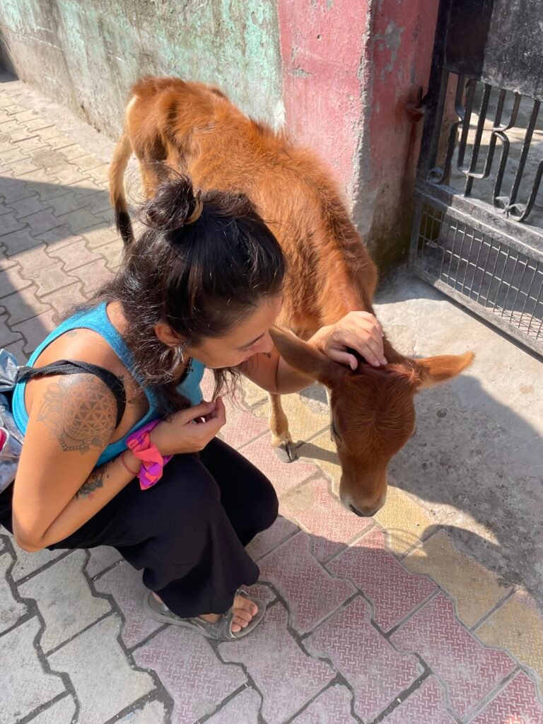 sobre omtacto rishikesh en ibiza